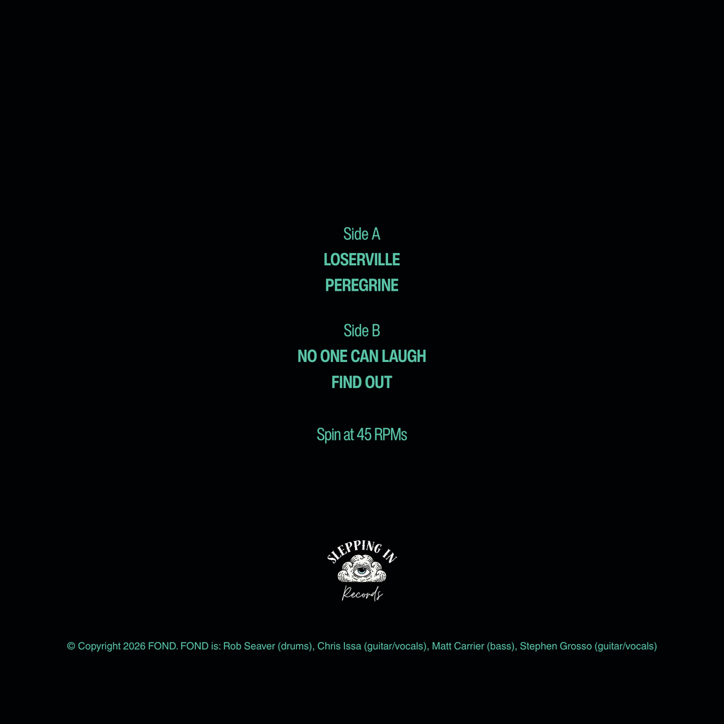 We Can Hang 7" 45rpm Vinyl Record (price includes shipping)